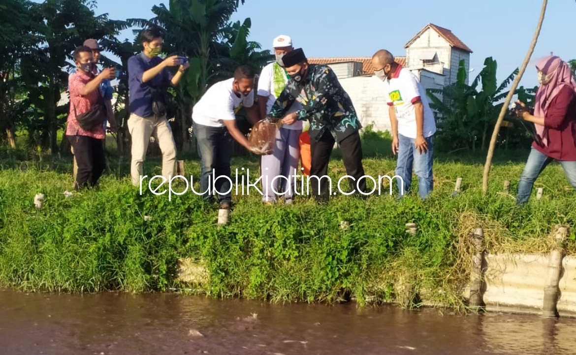 AIR TAWAR - Bacabup Sidoarjo, Bambang Haryo Soekartono (BHS) melihat budidaya ikan air tawar di Desa Dukuhtengah, Kecamatan Buduran, Sidoarjo untuk memastikan para nelayan mendapatkan perhatian pemerintah, Senin (29/06/2020) sore. 