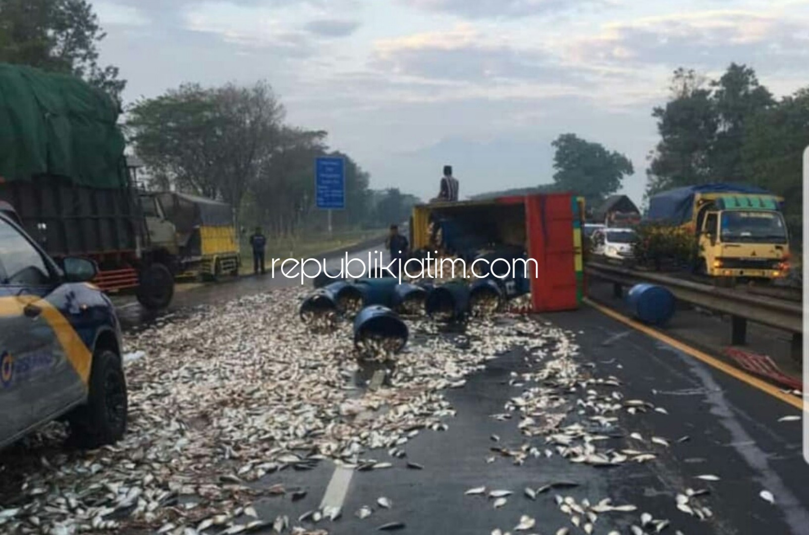 TERGULING - Sebuah truk bermuatan ikan mujaer, warna kuning hijau bernopol M 9620 UN yang dikemudikan Bahrowi warga JL P Suryanata Kelurahan Air Putih, Samarinda terguling di Tol Porong, Selasa (02/07/2019).