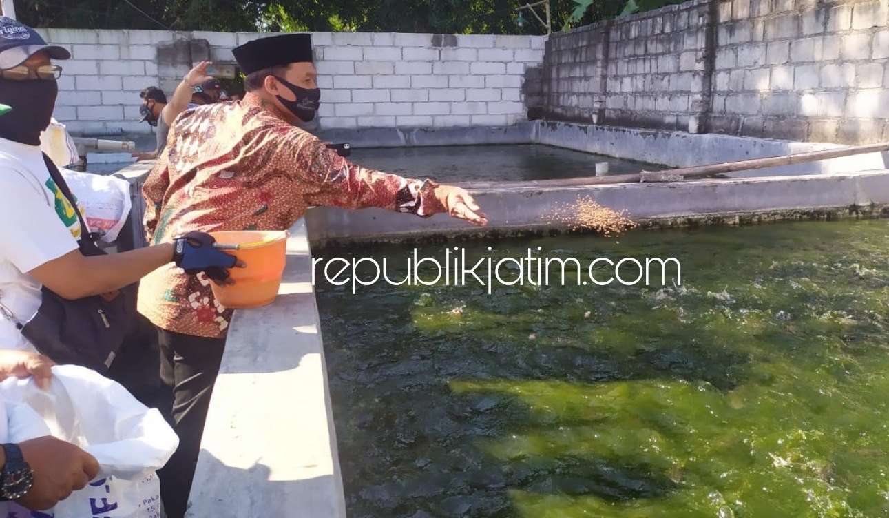 KEMBANGKAN - Bacabup Sidoarjo, Bambang Haryo Soekartono (BHS) bakal menghidupkan kembali budidaya ikan di Desa Sebani, Kecamatan Tarik, Sidoarjo agar menjadi sentra budidaya lele budidaya dan makanan olahan, Jumat (03/07/2020).
