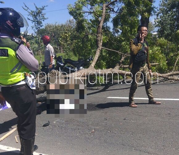 TEWAS TERTIMPA - Pengendara motor, Nur Muslich tewas tertimpa pohon di JL Raya Ponorogo - Madiun, tepatnya di Desa/Kecamatan Babadan, Ponorogo, Kamis (05/07/2018).