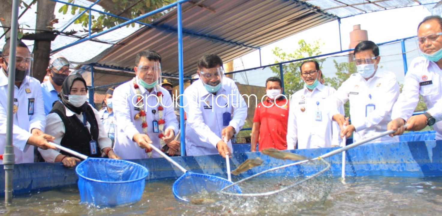 PANEN LELE - Kunjungan Kerja (Kunker) Dirjen Pemasyarakatan Irjen Pol Reynhard SP Silitonga ke Lapas Kelas I Surabaya di Desa Kebonagung, Kecamatan Porong, Sidoarjo diawali dengan panen hasil budidaya lele, Rabu (08/07/2020).