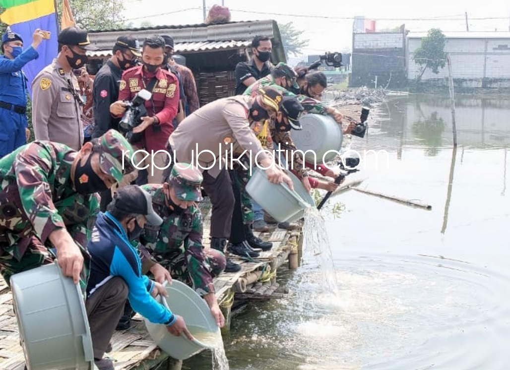 PANEN - Kapolda Jatim Irjen Pol Muhammad Fadil Imran dan Pangdam V Brawijaya Mayjen TNI Widodo Iryansyah bersama jajaran Forkopimda Sidoarjo panen raya dan tebar benih bandeng bersama petambak binaan Desa Kalanganyar, Sedati, Sidoarjo, Kamis (09/07/2020).