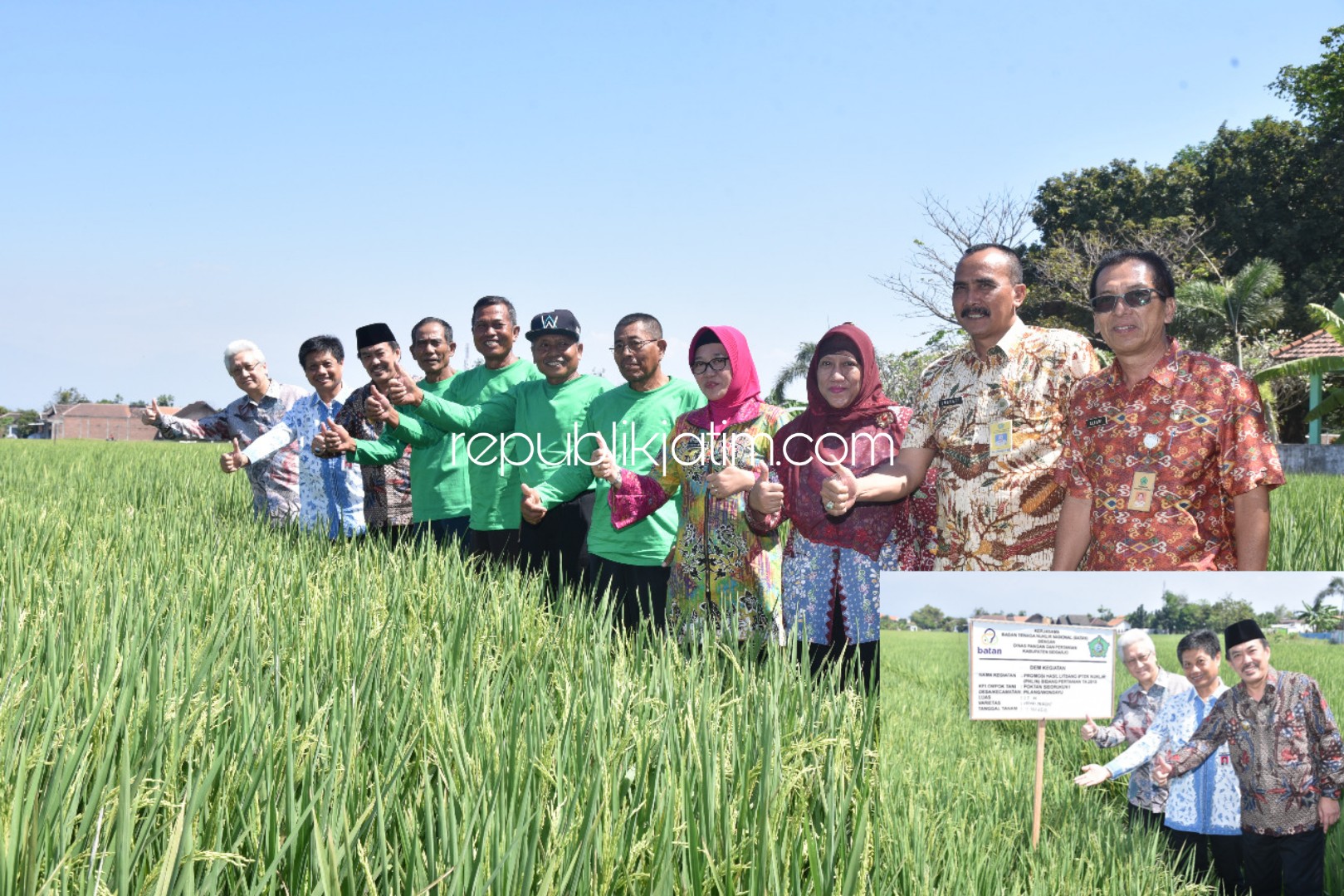 SIDAK - Wabup Sidoarjo, Nur Ahmad Syaifuddin dan rombongan Dubes Wina Austria dan Deputi BATAN meninjau dan berdiskusi dengan Kelompok Tani Desa Pilang, Kecamatan Wonoayu yang menerapkan benih padi Sidenuk dan Mugibas di sawahnya, Selasa (23/07/2019).