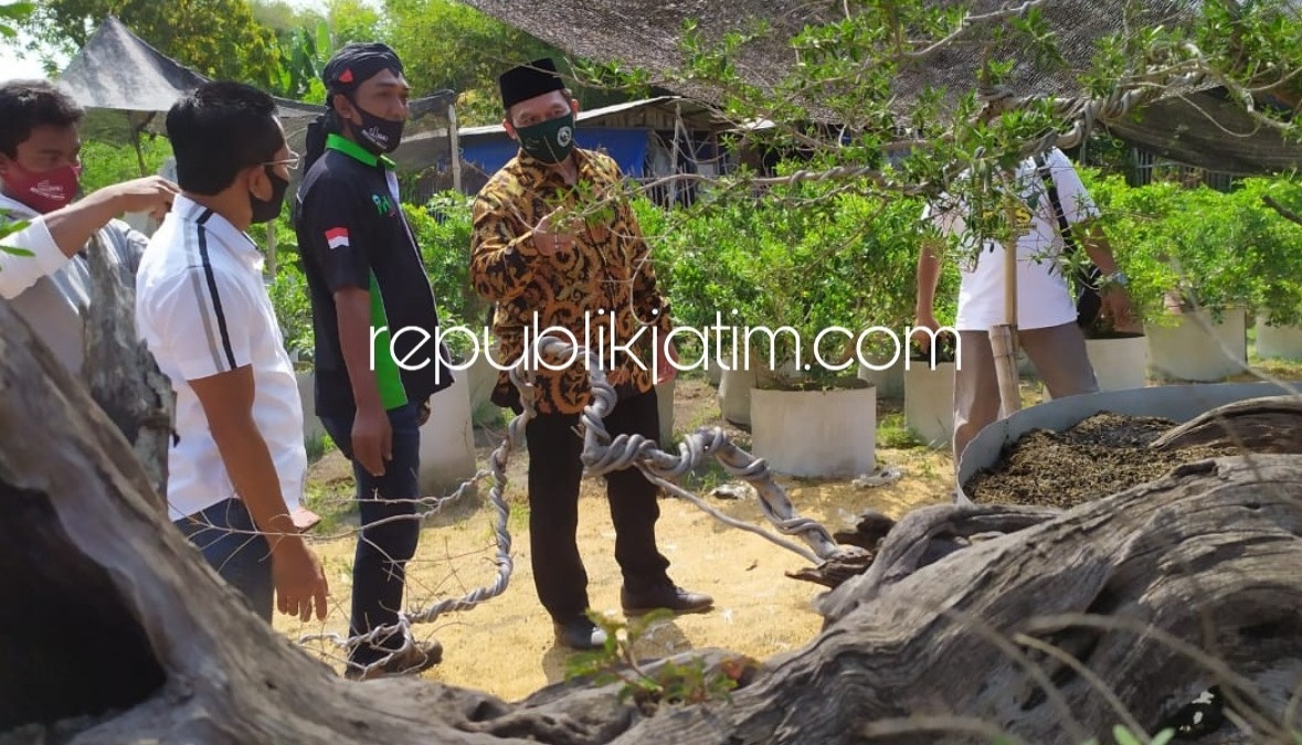 BONSAI - Bacabup Bambang Haryo Soekartono (BHS) saat berdialog dengan para pembubidaya bonsai di kebun Desa Juwetkenongo, Kecamatan Porong, Sidoarjo untuk menggali potensi dan pengembangan, Sabtu (08/08/2020).