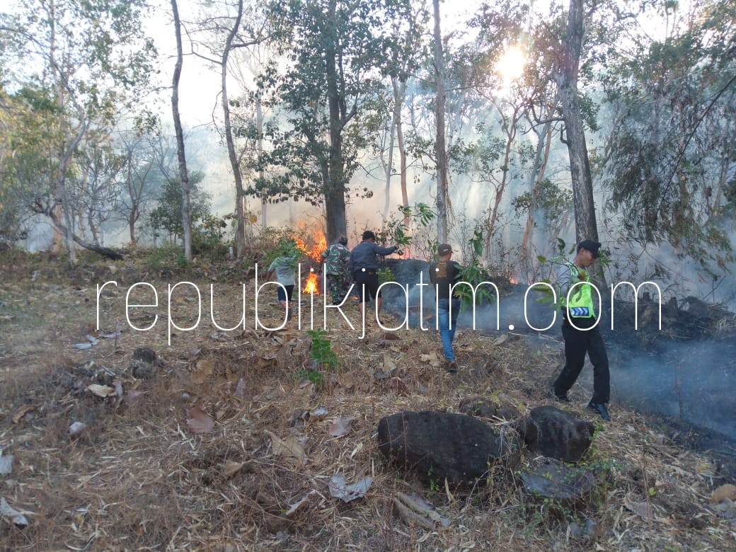 TERBAKAR - Sejumlah petugas gabungan tampak sibuk menadamkan api yang membakar hutan jati di Gunung Mbekapak Desa Poko, Kecamatan Jambon, Ponorogo yang ada di wilayah RPH Krebet, BKPH Ponorogo, Jumat (10/08/2018) petang.