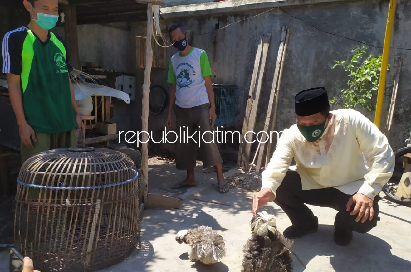 PETERNAK - Bacabup Sidoarjo, Bambang Haryo Soekartono (BHS) mengunjungi lahan peternakan milik Akhwan Fanani warga Desa Entalsewu, Kecamatan Buduran, Sidoarjo agar bisa diperhatikan dinas terkait dan bisa berkembang, Kamis (27/08/2020).