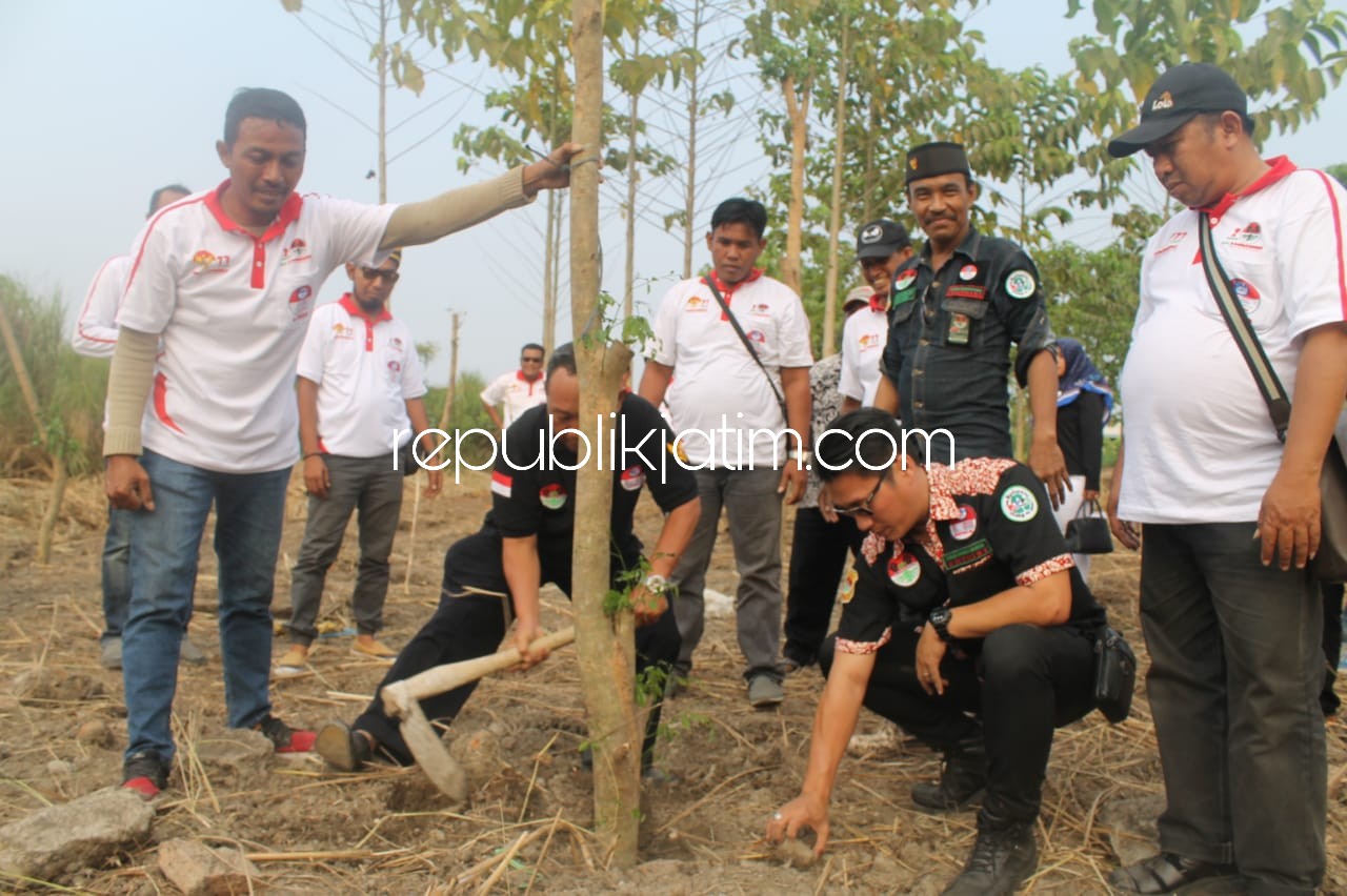 TANAM POHON - Puluhan aktivis lingkungan Aliansi Masyarakat Peduli Lingkungan dan Bahan Berbahaya dan Beracun Indonesia (Amphibi) menanam pohon angsana setinggi 3 hingga 4 meter diluar tanggul lumpur Desa Jatirejo, Porong, Sidoarjo, Senin (27/08/2018).