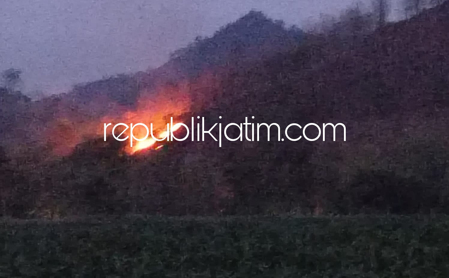 KEBAKARAN - Hutan Jati di kawasan Gunung Bonjing masuk wilayah petak 129 AA RPH Bungkal, BKPH Ponorogo Timur, KPH Lawu Ds terbakar, Minggu (29/08/2021) petang.