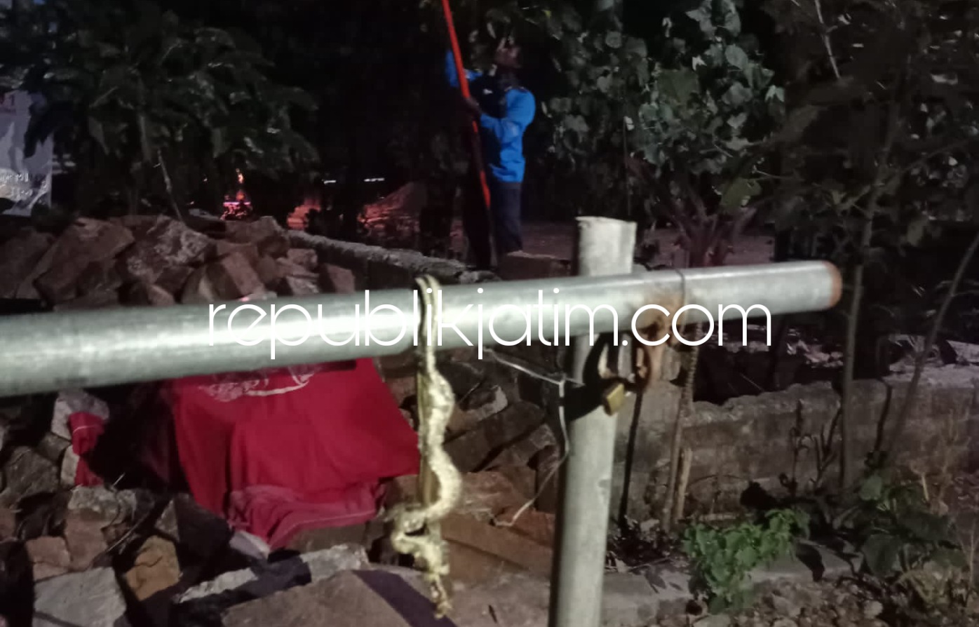 ULAR - Seekor ular naik ke tiang listrik memicu gangguan aliran listrik padam di Desa Munggu, Kecamatan Bungkal, Ponorogo memaksa petugas PLN menurunkan ular dari atas tiang listrik itu, Minggu (29/08/2021) malam.