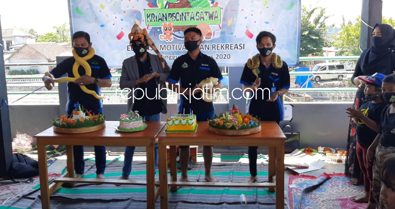 RAYAKAN - Anggota dan pengurus Krian Pecinta Satwa (KPS) Sidoarjo merayakan HUT yang ke 5 Tahun bersama Viki Ular Sanca di Warkop Atap Susu Desa Jabaran, Kecamatan Balongbendo, Sidoarjo, Minggu (30/08/2020). 