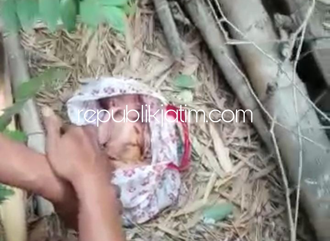 PENEMUAN - Penemuan bayi perempuan yang diduga berusia sehari ditemukan Kastali (47) warga Dusun Luwung, Desa Sumokembangsri, Kecamatan Balongbendo, Sidoarjo, Rabu (01/09/2021). 