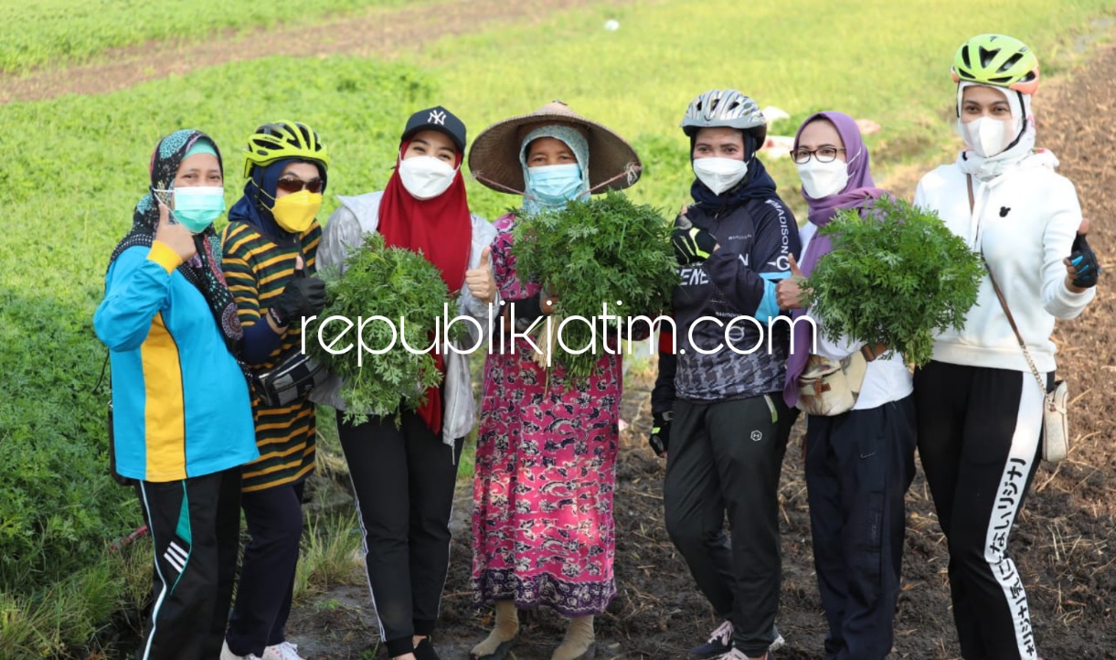 TANGGUH - Ny Mispah petani asal Desa Durungbedug, Kecamatan Candi, Sidoarjo diapit istri Bupati Sidoarjo, Ny Sa'adah Budi Ahmad Muhdlor Ali sebagai perempuan tangguh penjaga ketahanan pangan di lahan pertaniannya, Sabtu (04/09/2021).