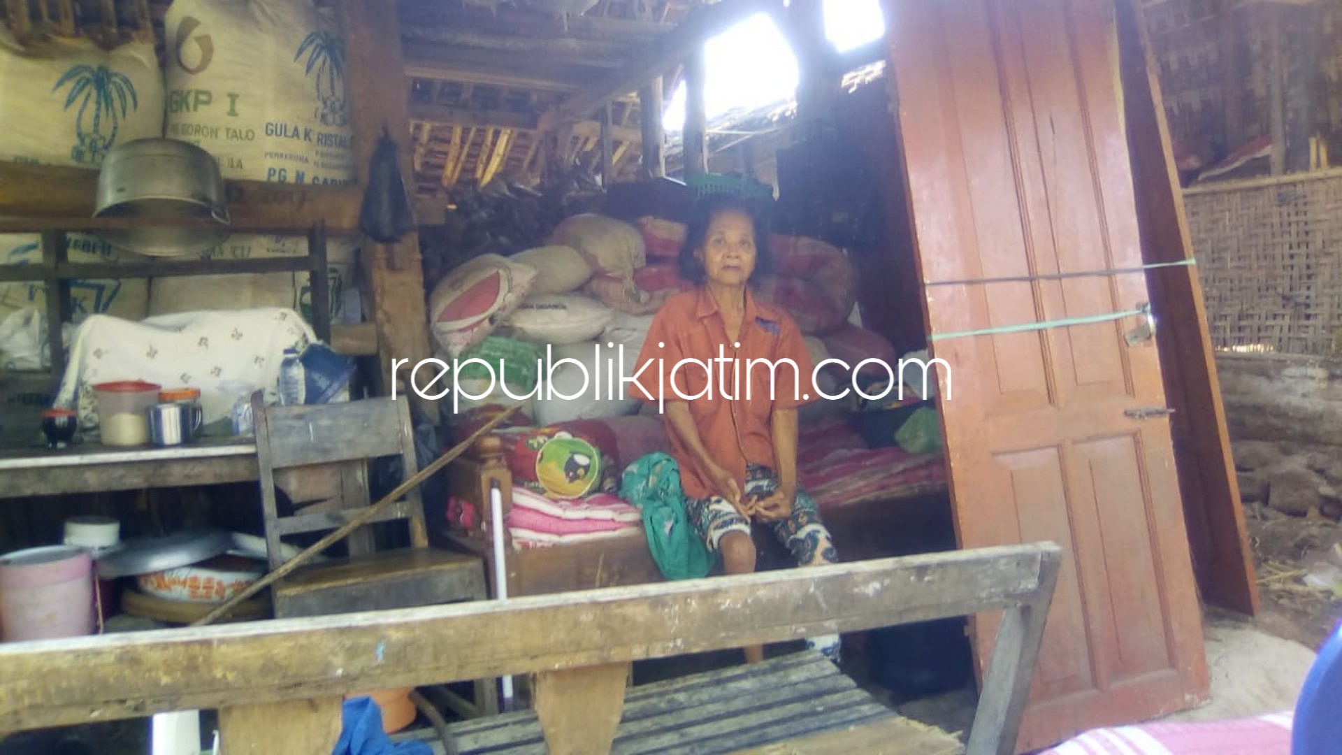 MERANA - Mbok Soinem (65) tinggal digubuk berukuran 2 x 3 meter berdampingan kandang sapi di Dusun Sidowayah, Desa Sidoharjo, Kecamatan Jambon, Ponorogo hidup memperihatinkan, Jumat (07/09/2018).