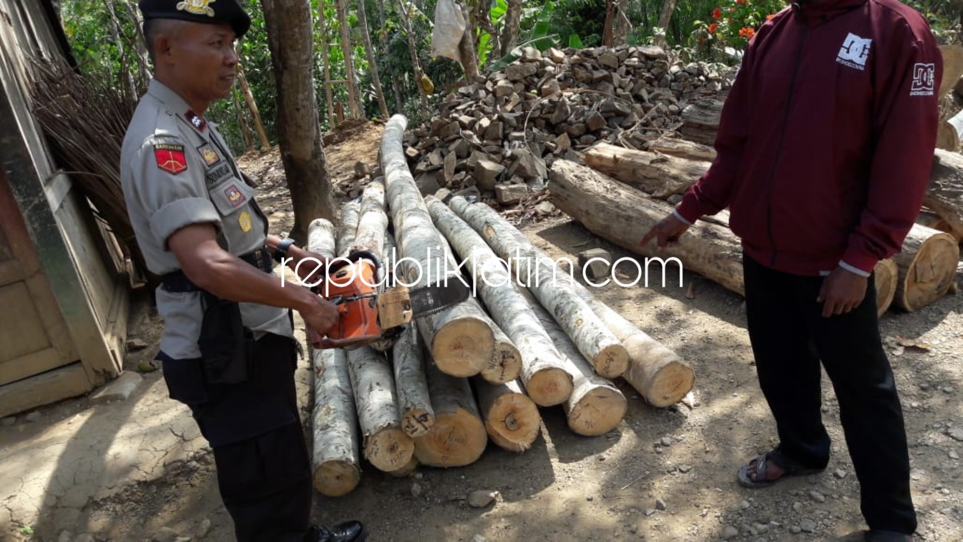 BARANG BUKTI - Petugas menunjukkan barang bukti kayu yang ditebang Jemikan (37) tukang kayu asal Desa Wonoasri, Kecamatan Ngadirojo, Pacitan saat diringkus petugas polisi hutan dan Polsek Ngrayun, Jumat (14/09/2018).