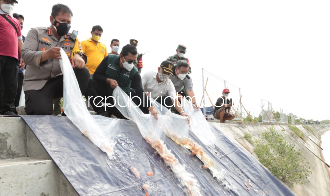 TABUR - Bupati Sidoarjo, Ahmad Muhdlor Ali didamping Kepala Dinas Perikanan, M Bachruni Aryawan dan Kapolresta Sidoarjo Kombespol Kusumo Wahyu Bintoro menabur 50.000 ikan nila di Long Stroge Kalimati, Kecamatan Tarik, Sidoarjo, Minggu (26/09/2021).