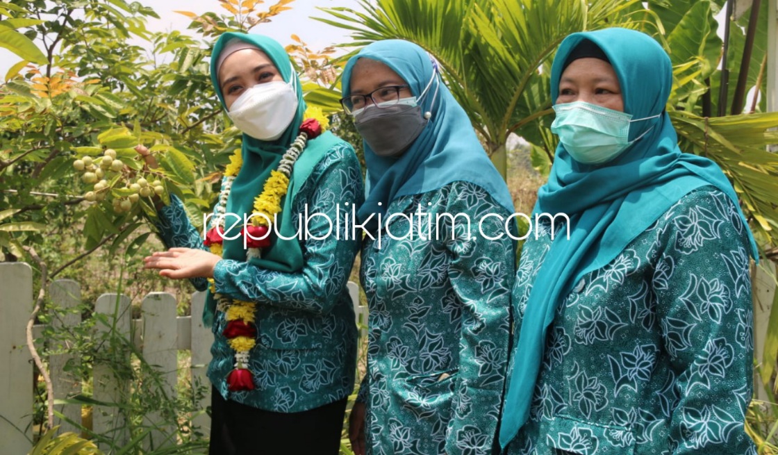 KENALKAN - Ketua TP-PKK Kabupaten Sidoarjo, Ny Sa'adah Ahmad Muhdlor (Ning Sasha) mengenalkan kampung Petik Kelengkeng di Desa Simoketawang, Kecamatan Wonoayu, Sidoarjo, Senin (27/09/2021).