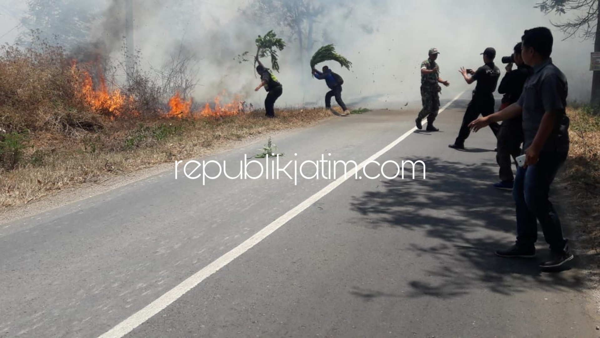 TERBAKAR - Lahan 2 hektar hutan kayu putih Petak 41A, BKPH Sukun RPH Sukun wilayah Desa Sidoharjo, Kecamatan Pulung dan Petak 42E, RPH Tambaksari wikayah Desa Mrican, Kecamatan Jenangan, Ponorogo ludes terbakar, Rabu (03/10/2018).