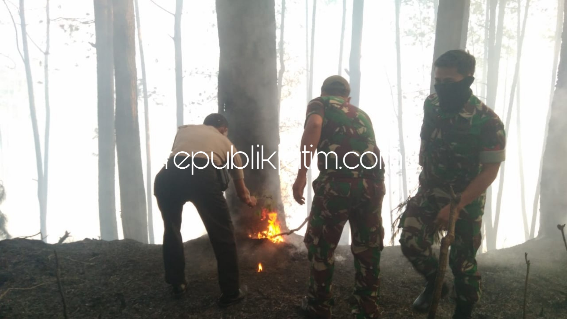 PADAMKAN API - Sejumlah petugas Polsek dan Koramil Ngrayun sibuk memadamkan api di hutan pinus Desa Cepoko, Kecamatan Ngrayun, Ponorogo, Kamis (04/10/2018).