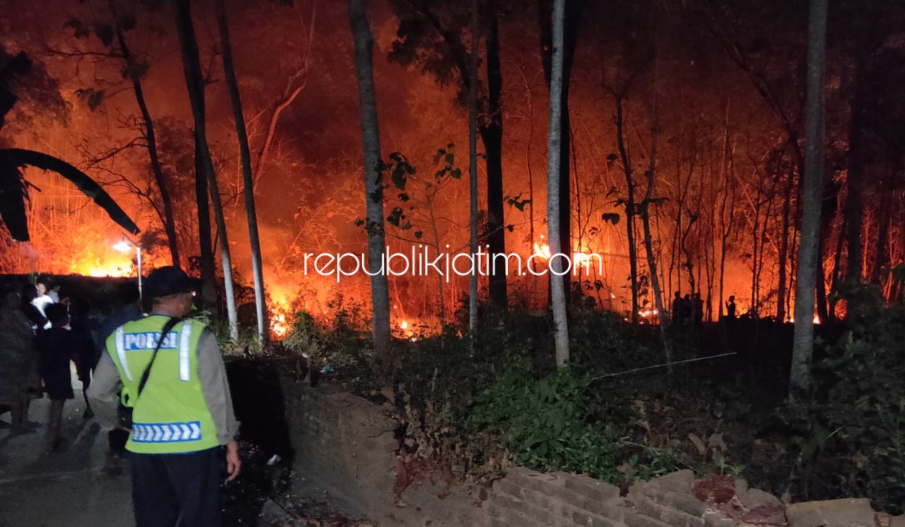 TERBAKAR - Warga Desa Kutu Kulon, Kecamatan Jetis, Ponorogo digegerkan terbakarnya rimbunan (barongan) bambu dan semak di dekat pemakaman umum desa setempat, Senin (14/10/2019) malam.