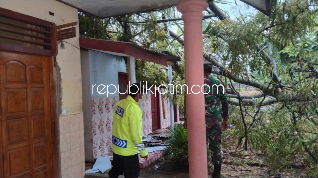 RUSAK - Pohon sengon yang ada di samping gedung SDN 1 Suru, Kecamatan Sooko, Sidoarjo tumbang menimpa ruang kamar mandi dan toilet di SDN 1 Suru, Senin (19/10/2021). 