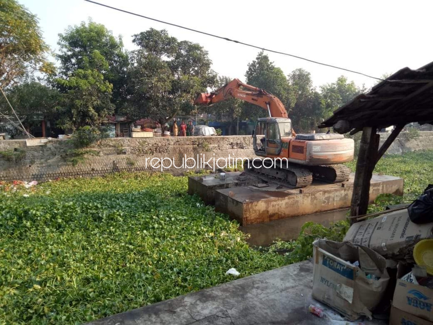BERSIHKAN - Sebanyak 2 alat berat dan 3 truk untuk mengangkat eceng gondok di Afvoer Sidokare mulai Kutuk, Sidokare hingga Karanggayam, Kelurahan Pucanganom, Kecamatan/Kabupaten Sidoarjo, Sabtu (26/10/2019).