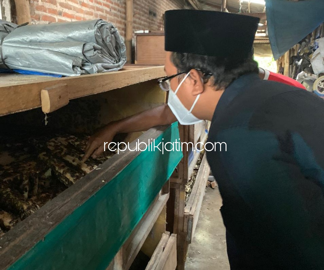 ASPIRASI - Cabup Sidoarjo 2020, Ahmad Muhdlor Ali (Gus Muhdlor) berdialog dan menampung aspirasi peternak jangkrik, Mahmud warga Desa Ploso, Kecamatan Krembung, Sidoarjo agar bisa berkembang dan omzetnya naik berlipat, Senin (26/10/2020).