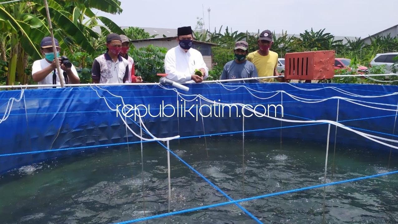 BUDIDAYA - Cabup Sidoarjo 2020, Bambang Haryo Soekartono berdialog dengan para pembudidaya ikan mujair di Pandean, Desa Banjarkemantren, Kecamatan Buduran, Sidoarjo untuk mengetahui potensi pengembangan ikan melalui keramba terpal, Selasa (27/10/2020).