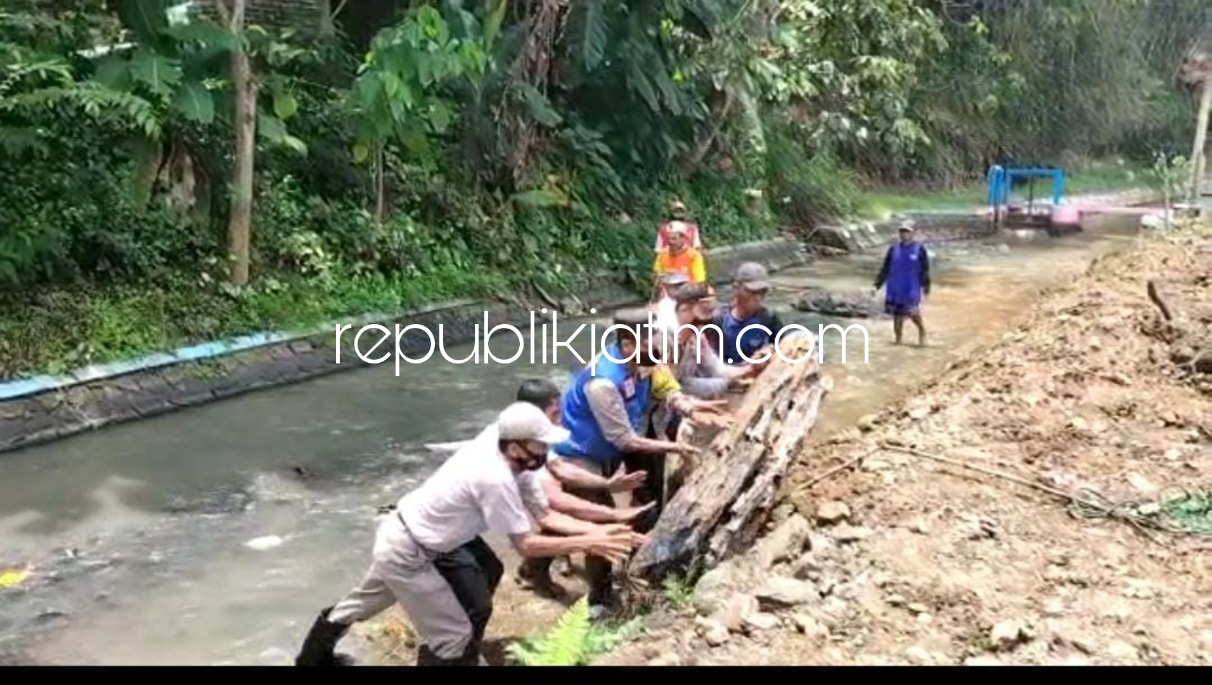 ANGKAT KAYU- Sejumlah anggota Polsek Pulung bersama warga membersihkan sampah dan mengangkut kayu di Kali Dalem Desa Wotan Kecamatan Pulung, Ponorogo sebagai antisipasi banjir, Kamis (11/11/2021).