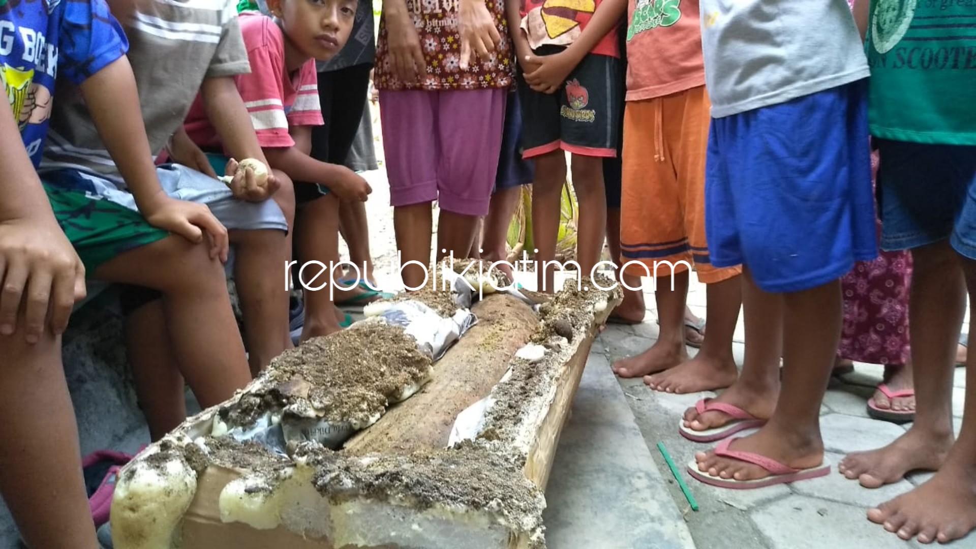 FOSIL - Fosil Gading Gajah Purbakala sepanjang 120 meter ditemukan warga di Desa Planglor, Kecamatan Kedunggalar, Ngawi, Selasa (27/11/2018).