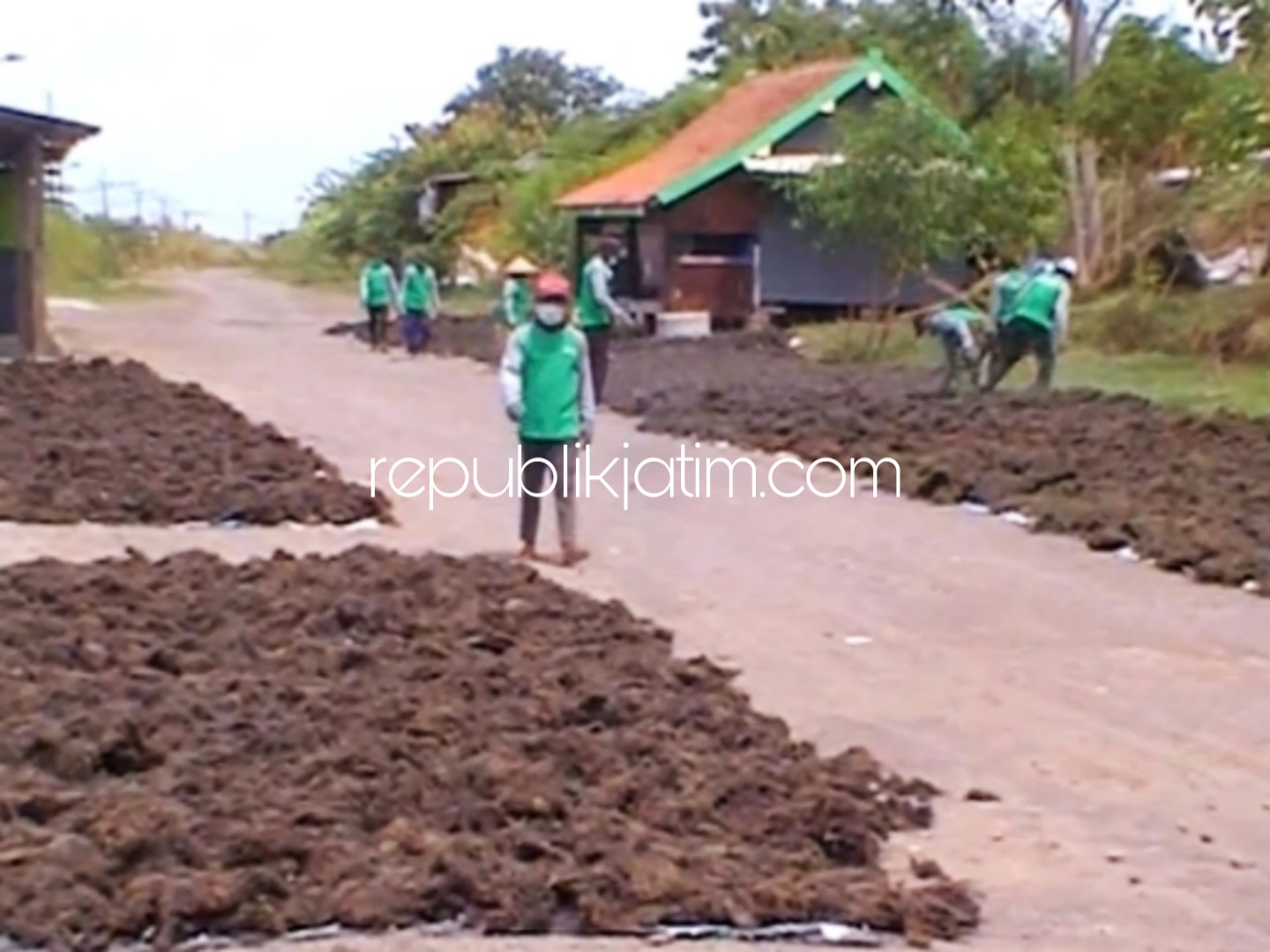KERINGKAN - Petani rumput laut asal Dusun Tegalsari, Desa Kupang, Kecamatan Jabon, Sidoarjo keluhkan proses pengeringan sejak memasuki musim penghujan, Senin (03/12/2018).