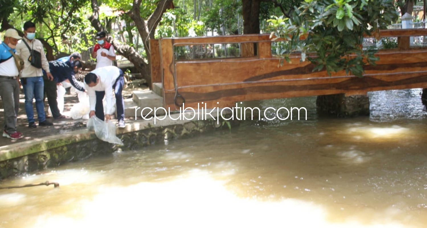 TEBAR - Pj Bupati Sidoarjo, Hudiyono menebar benih ikan tombro di Taman Pendopo Pemkab Sidoarjo sebagai langkah membuka taman untuk rekreasi keluarga sepekan sekali, Minggu (06/12/2020). 