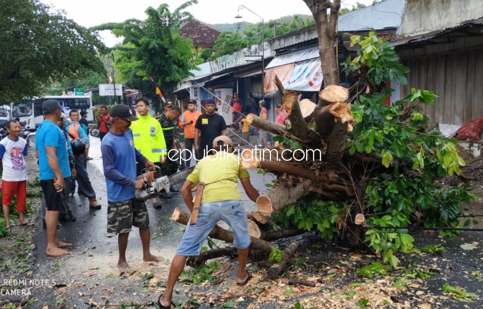 POHON TUMBANG - Petugas Polsek Sampung bersama warga mengevakuasi pohon tumbang yang melintang di jalan raya, Rabu (25/12/2019).