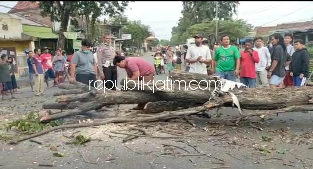 EVAKUASI - Sejumlah petugas mengevakuasi pohon tumbang di JL Raya Desa Punokawan, Kecamatan Krian, Sidoarjo yang menimpa 3 pemotor di jalur Surabaya-Mojokerto dan korban saat dievakuasi warga, Minggu (09/01/2022) sore.