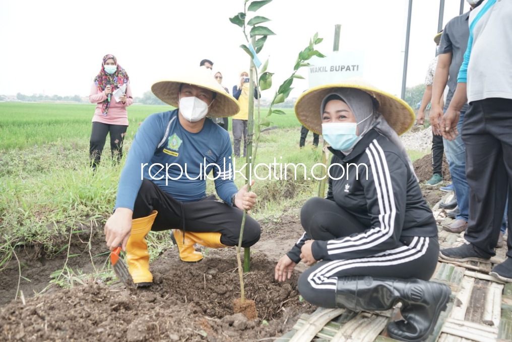 TANAM - Wakil Bupati Sidoarjo, Subandi bersama istri Ny dr Sriatun menanam 500 bibit Jeruk Siem di lahan 2 hektar TKD Pabean, Kecamatan Sedati, Sidoarjo, Sabtu (12/02/2022).