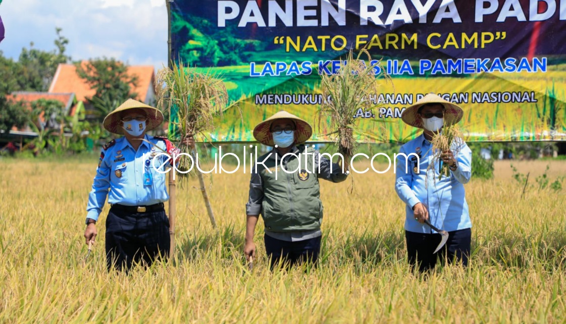 PANEN RAYA - Panen raya dan penjualan paving blok dihadiri Kadiv Pemasyarakatan Kanwil Kemenkumham Jatim Teguh Wibowo, Bupati Pamekasan Badrut Tamam dan Kalapas Pamekasan Seno Utomo di lahan seluas 1,5 hektar di Lapas Pamekasan, Kamis (17/03/2022).