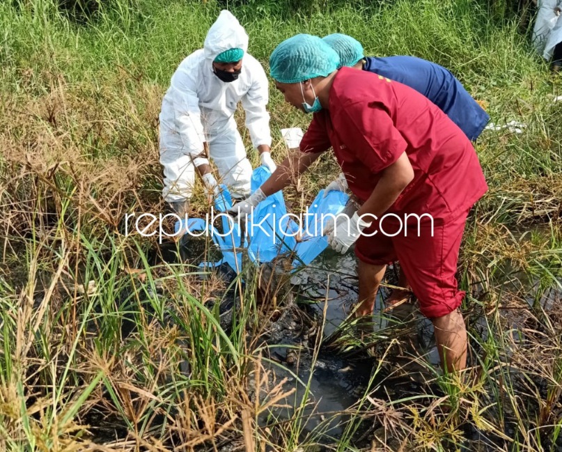 EVAKUASI - Sejumlah petugas mengevakuasi jenazah pria tanpa identitas yang ditemukan di Desa Bangah, Kecamatan Gedangan, Sidoarjo, Rabu (30/03/2022) sore.