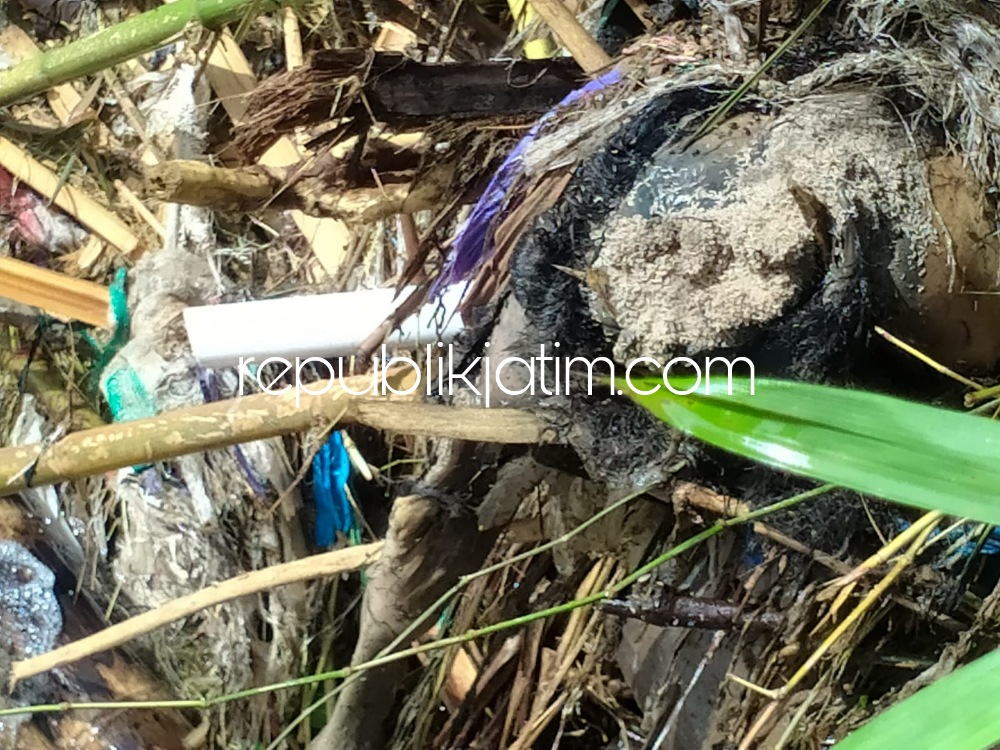 BANGKAI SAPI - Sejumlah anggota Polsek Sooko saat mencari sumber aroma busuk menyengat yang diduga dari bangkai sapi yang dibuang di sungai, Senin (27/06/2022) malam.