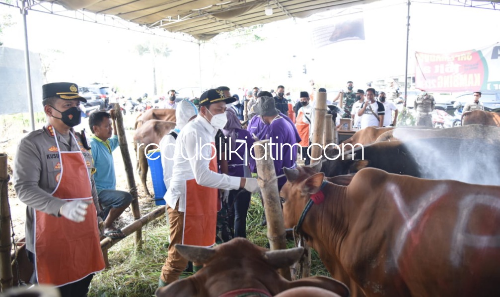 SIDAK - Wabup Sidoarjo Subandi, Kapolresta Sidoarjo Kombes Pol Kusumo Wahyu Bintoro dan Dandim 0816 Sidoarjo Letkol Inf Masarum Djatilaksono sidak kesehatan hewan kurban di perumahan Pondok Candra, Desa Tambaksumur, Kecamatan Waru, Rabu (06/07/2022).