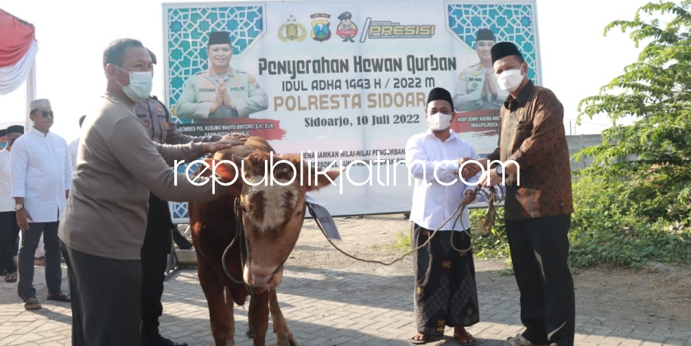 KURBAN - Kapolresta Sidoarjo beserta pejabat utama, staf dan Kapolsek jajaran menyerahkan 18 ekor sapi dan 68 kambing serta menyembelih hewan kurban untuk dibagikan ke masyarakat yang berhak menerima, Minggu (10/07/2022).