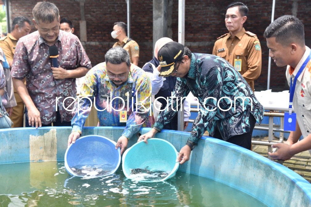 TEBAR - Bupati Sidoarjo Ahmad Muhdlor Ali dan Kepala Dinas Perikanan M Bachruni Aryawan menebar benih ikan lele ke kolam di Pusat Pelatihan Mandiri Kelautan dan Perikanan (P2MKP) Fish Boster Centre Desa Karanganyar, Kecamatan Sedati, Senin (24/10/2022).