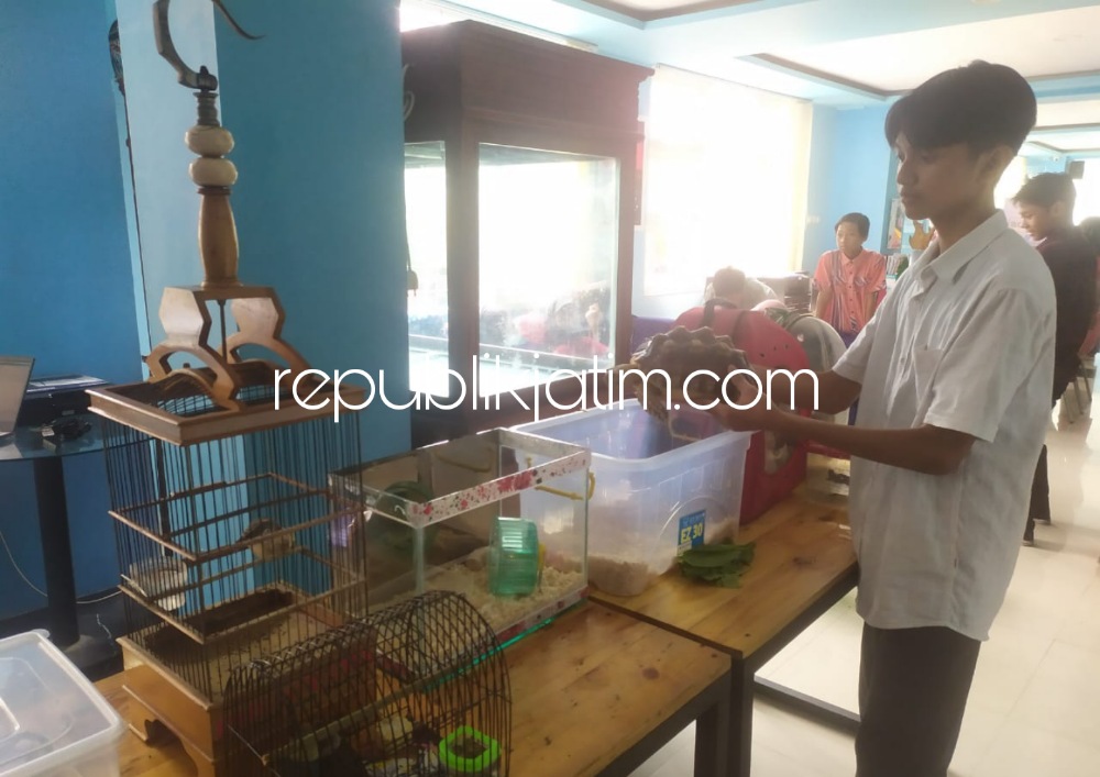 KONTES - Ratusan siswa dan siswi SMP Muhammadiyah 2 Taman (SMPM Duta) Sidoarjo mengikuti kontes hewan, modeling, adzan, semaphore, ikan hias dan lainnya dalam acara puncak Class Meeting, Jumat (23/12/2022).