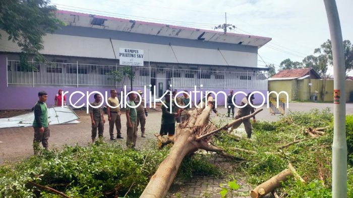 EVAKUASI - Sejumlah petugas gabungan mengevakuasi pohon tumbang yang ada di sejumlah titik di Sidoarjo akibat amukan angin puting beliung, Selasa (27/02/2024).