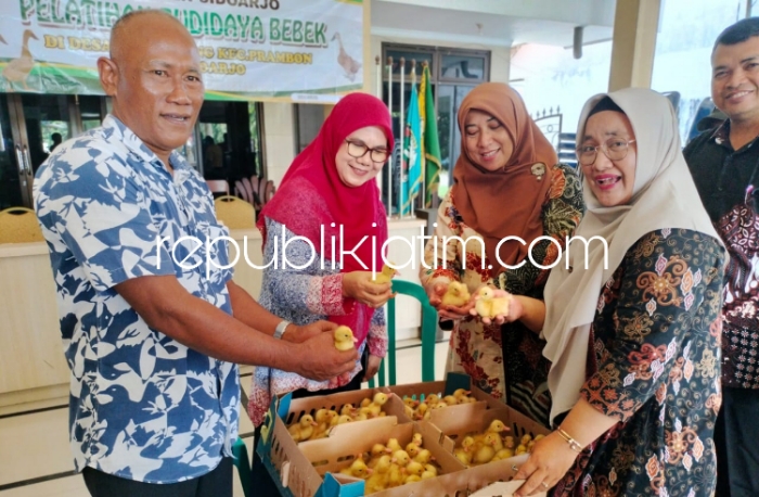 BANTUAN - Kepala Dinas Pangan dan Pertanian Pemkab Sidoarjo, Dr Eni Rustianingsih menyerahkan bantuan anakan bebek kepada 30 Gapoktan di Desa Simogirang, Kecamatan Prambon beserta pakannya, Rabu (24/04/2024).