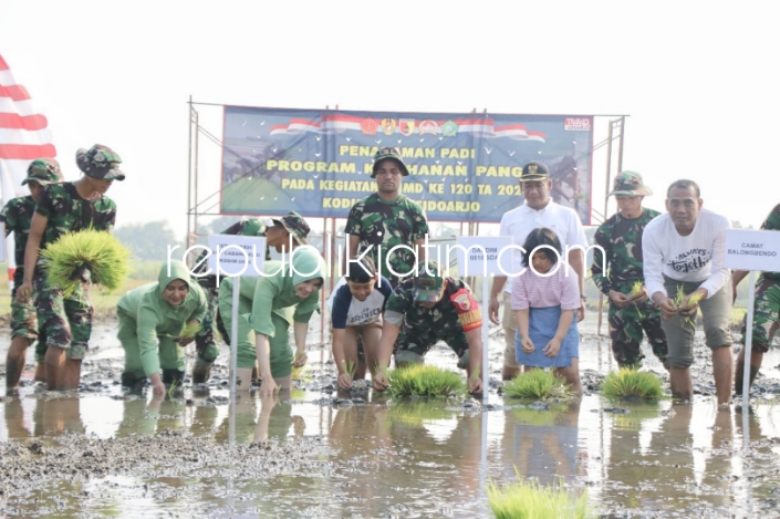 TANAM - Dandim 0816 Sidoarjo Letkol Inf Guntung Dwi Prasetyo, Ketua Persit Cabang XLIII Ny Nia Guntung didampingi Danramil 0816 10 Balongbendo Kapten Inf Hendro S memimpin tanam padi dan pohon di Penambangan, Kecamatan Balongbendo, Kamis (09/05/2024).