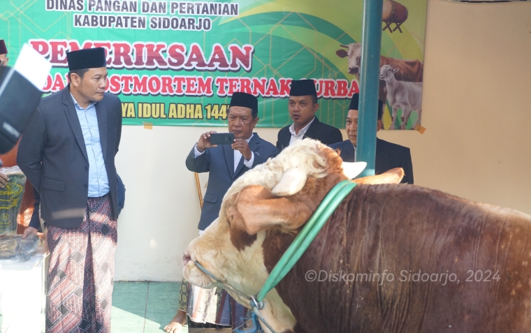 SAPI KURBAN - Plt Bupati Sidoarjo Subandi menyerahkan sapi seberat hampir 1 ton dari Pemkab Sidoarjo itu untuk disembelih di Masjid Agung Sidoarjo dan dagingnya bakal dibagikan sebagai kurban untuk jamaah dan warga Sidoarjo, Senin (17/06/2024).