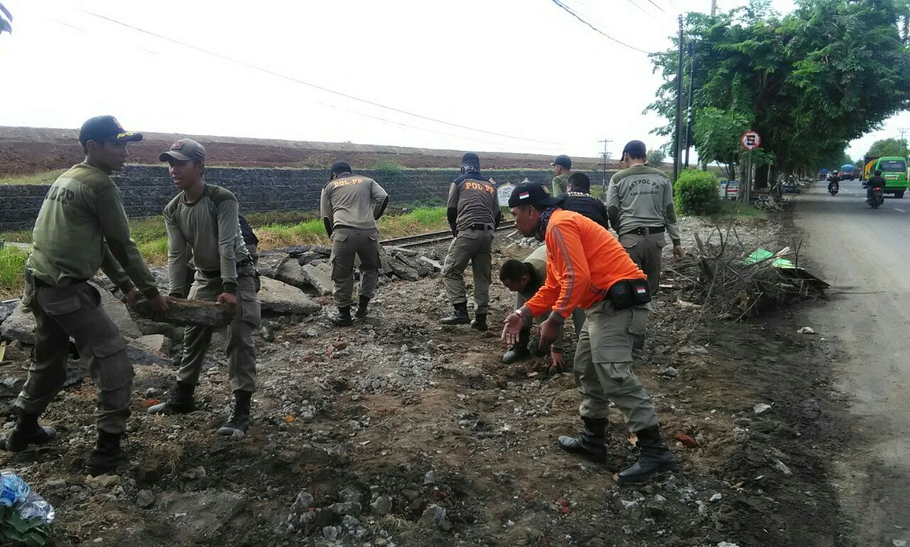 DITERTIBKAN - Kasat Pol PP Sidoarjo, Widiantoro Basuki memimpin penertiban dan menanam pohon kamboja dan luntas berserta petugas Dinas Lingkungan Hidup dan Kebersihan (DLHK) Pemkab Sidoarjo di bekas bongkaran bangunan liar sepanjang JL Desa Ketapang, Keca