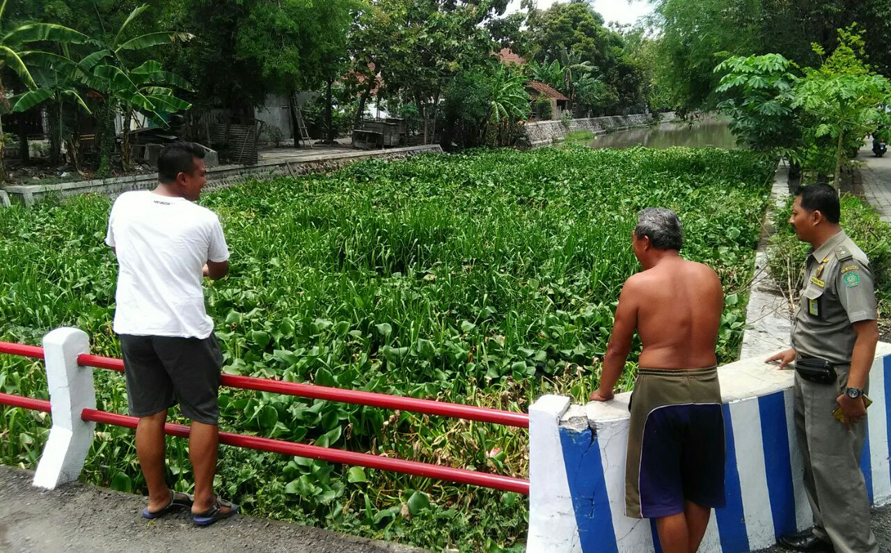 TERSUMBAT - Plh Kepada Desa (Kades) Boro, Kecamatan Tanggulangin, Arie Prabowo menunjukkan lokasi sungai yang dipenuhi enceng gondok dan memicu tersumbatnya sampah yang memenuhi dan memadati aliran Sungai Boro, Rabu (22/11/2017).