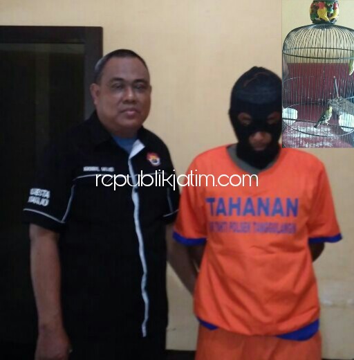 PENCURI - Tersangka pencurian burung, Dzulkarnain beserta barang bukti didampingi Humas Polsek Tanggulangin, Aiptu Mujid, Kamis (04/01/2018).