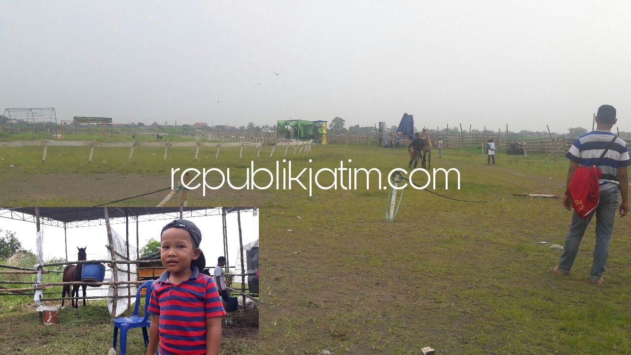 UJI LAPANGAN - Sejumlah peserta Kejuaraan Pacuan Kuda se Jawa Bali Piala Menpora 2018 sibuk uji lapangan dan merawat kuda mereka sebelum puncak acara, Sabtu (03/02/2018).