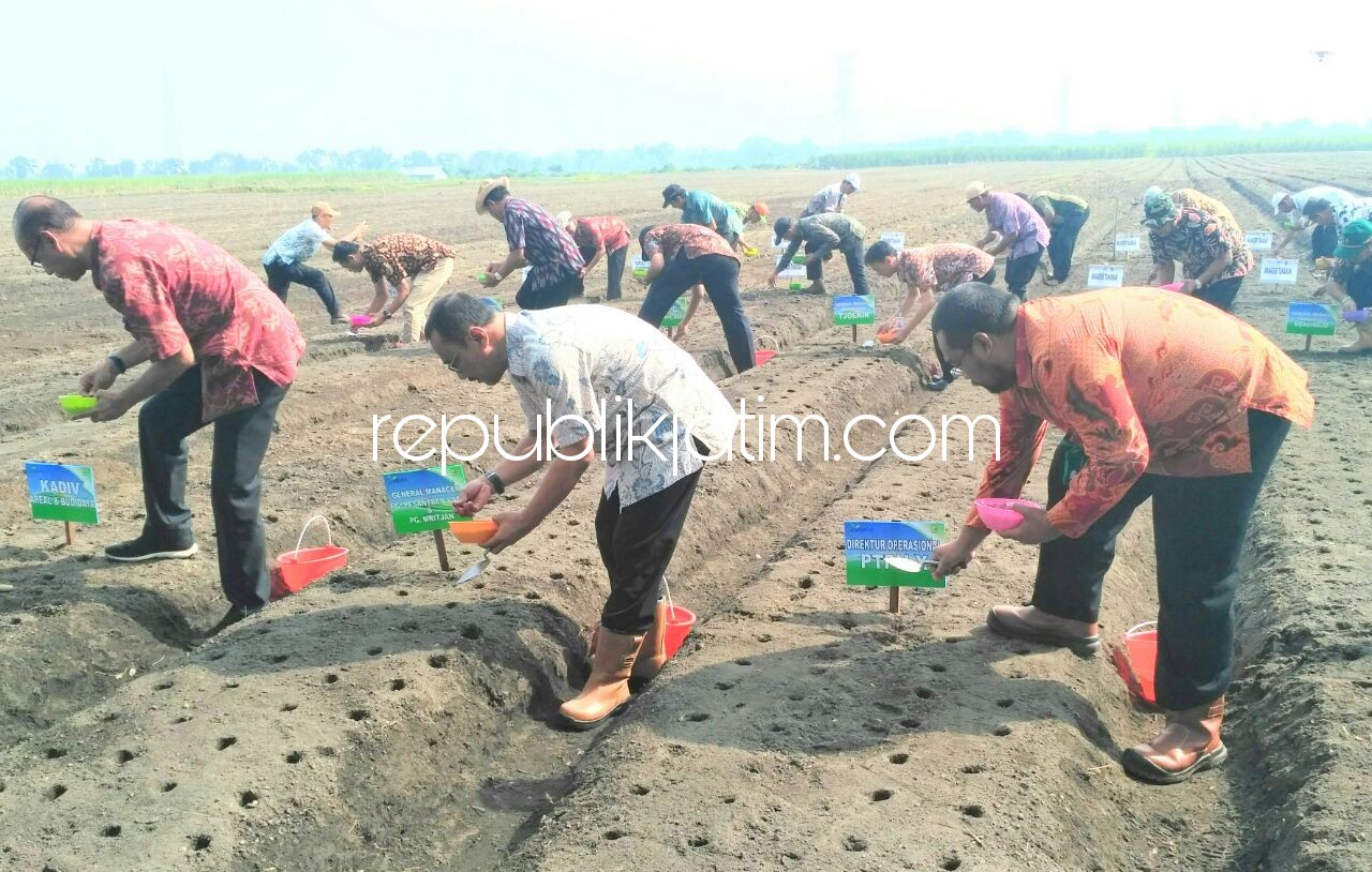 TANAM KEDELAI - Penanaman benih kedelai edamame dilakukan secara simbolis oleh para pejabat PTPN X di lahan HGU Djengkol, Kediri, Kamis (01/03/2018).